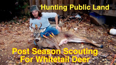 scouting for deer, deer hunting