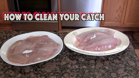 cleaning fish, how to fillet fish, fish fillet