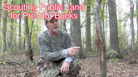 scouting for whitetail deer, deer hunting