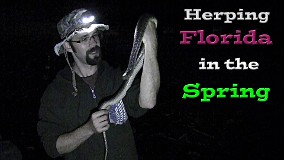herping, snake