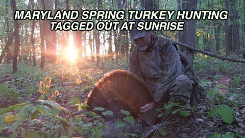 spring turkey hunting, camochairproductions