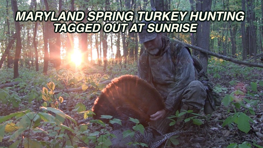 spring turkey hunting, camochairproductions spring turkey hunting, camochairproductions