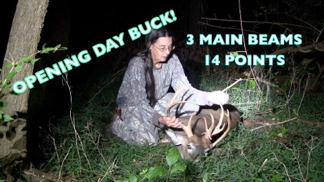 3 beam buck