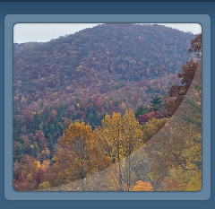 fall foliage