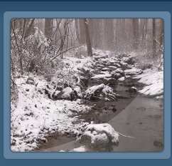 winter creek