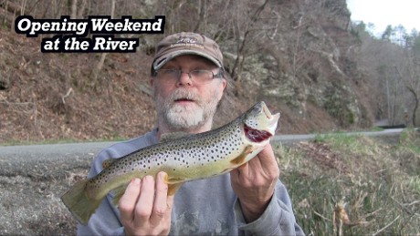 trout fishing