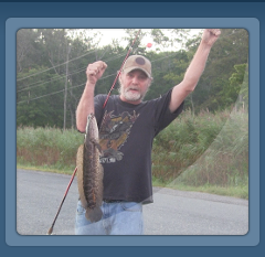 snakehead
