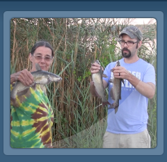 snakehead camochairproductions