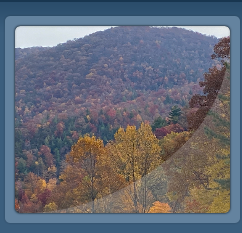 fall foliage
