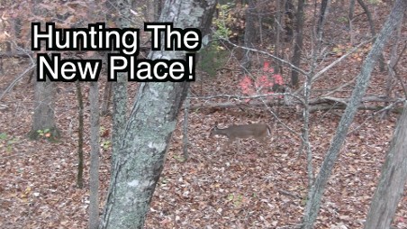 deer hunting, camochairproductions