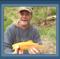 Golden Trout