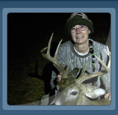 whitetail deer