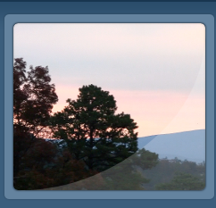 trees